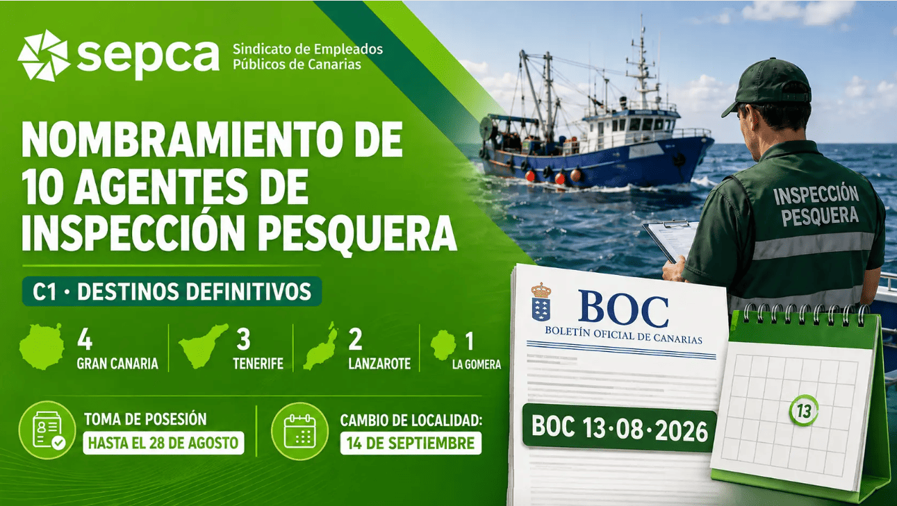 Captura de pantalla 2026 08 13 103123 1